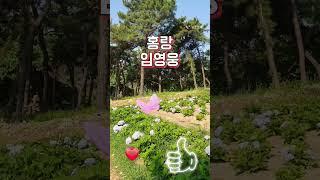#홍랑 #임영웅 #건행 #영웅시대 #뽕숭아학당  #수수꽃다리tv
