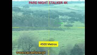 PARD NIGHT STALKER 4K - Modo diurno