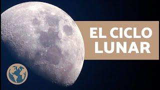 ¿Cuáles son las FASES de la LUNA?  (Explicación Ciclo Lunar y Cómo se Produce)