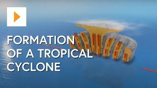 Formation Of A Tropical Cyclone