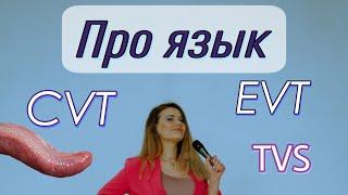 Про язык, модификацию гласных, анкеровку языка. #cvt #evt #TVS