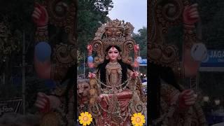 Maa Jagadhatri #shorts #hindufestival #trendingshorts #shortsfeed #viralvideo #ytshorts #durgapuja