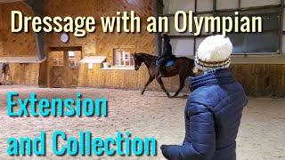 Extended trot and Collection with dressage Olympian Belinda Trussell