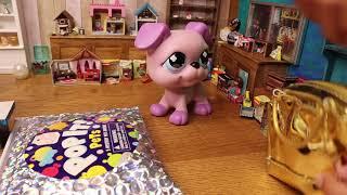 LPS: POP IT PETS Unboxing