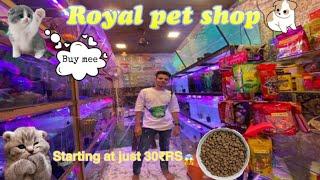 Mumbai pet shop 2021(Royal pet’s) /FAIZ.ZONE #persiancat #petshop