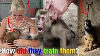 MOKEY'S TRAINING: HOW TO HELP WILD ANIMALS, I NEED TO TALK ABOUT THIS IN THAILAND! :loudly_