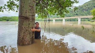 alerta roja río Lempa se desborda  y chungo queda atrapado en la creciente !! Por el huracan sara 