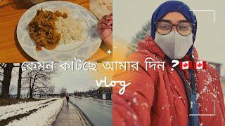 কেমন কাটছে কানাডায় আমাদের দিন || Life in Canada || Moncton