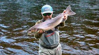 First Salmon Of The Season! - River Teith, Scotland