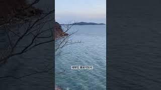 대부도 용궁기도터