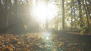 Autumn Leaves (orchestral) (official video) - Eva Cassidy with the London Symphony Orchestra