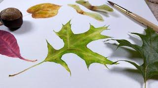 How to paint a leaf in watercolorTutorial step by step  #watercolorbotanicals