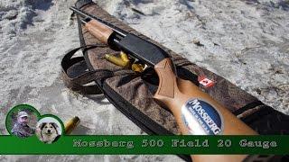 Mossberg 500 Field Pump Shotgun Review and Patterning