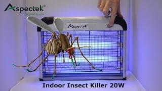 World's Deadliest Animal vs. Indoor Insect Killer 20W