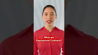 What are employment contracts?