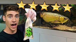 Shopping at the RICHEST AQUARIUM in the World!! ... (rare fish inside)