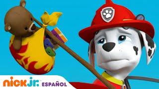 PAW Patrol, Patrulla de cachorros | Marshall se toma un descanso | Nick Jr. en Español