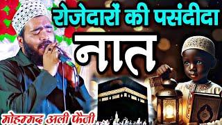 रोजेदारों की पसंदीदा नात || Ramzan ki special new Naat Sharif 2025  Mohammed Ali Faizi ki naat