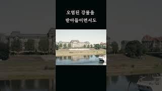 바다는 비에 젖지 않는다