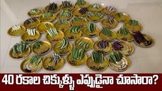 40 రకాల చిక్కుడు కాయలను ఎప్పుడైనా చూసారా?  | 3K Organic Seeds