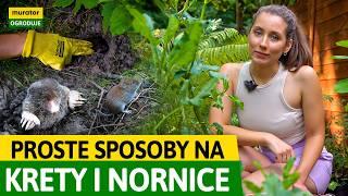 PROSTE SPOSOBY NA NIEPROSZONYCH GOŚCI W OGRODZIE! | Murator Ogroduje