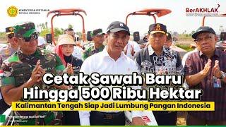 Cetak Sawah Baru Hingga 500 Ribu Hektare, Kalimantan Tengah Siap Jadi Lumbung Pangan Indonesia