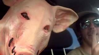 Crazy pig and checker!!!!!!.ASF