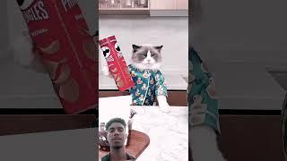 meow chef 