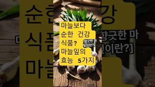 마늘보다 순한 건강 식품? 마늘잎의 효능 5가지