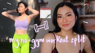 MY WORKOUT SPLIT for home workouts!