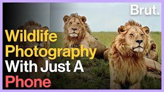 Wildlife Photography With A Phone