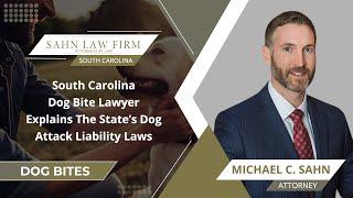 South Carolina Dog Bite Lawyer Explains The State’s Dog Attack Liability Laws