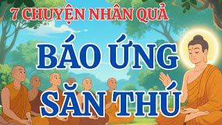 7 Chuyện Nhân Quả Phật Giáo Mới Nhất 2025 – BÁO ỨNG ĐÁNG SỢ Của Việc SĂN THÚ  Báo Ứng Hiện Tiền Khiế