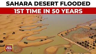 Unprecedented Flooding In Sahara Desert After 50 Years, Is It A Climate Change Warning? |India Today