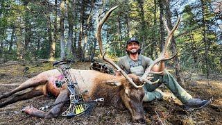 PUBLIC LAND ELK WITH THE BOW (Shot On IPhone)