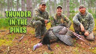HE WAS HAMMERING!!! - Public Land Pine Plantation