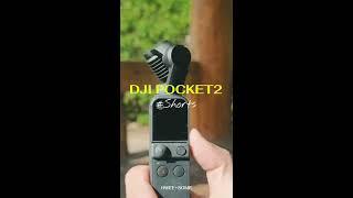 DJI POCKET2 포켓2로 담은 일상 #Shorts