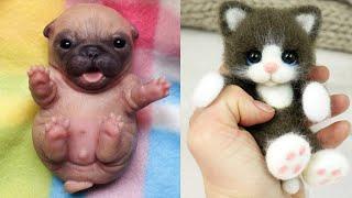 Cute Baby Animals Videos Compilation | Funny and Cute Moment of the Animals #6