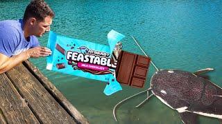 Fishing with Candy