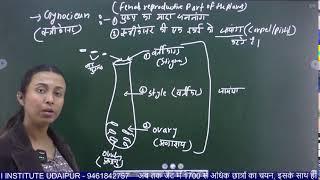 SEXUAL REPRODUCTION IN FLOWERING PLANTS  part-1  class - 12 Biology