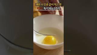 계란과 함께 먹으면 안 되는 음식 3가지
