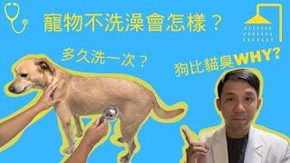 寵物不洗澡會怎麼樣嗎？