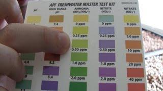 Aquaponics system: How to cycle an aquaponics system using the fishless cycling method week 1