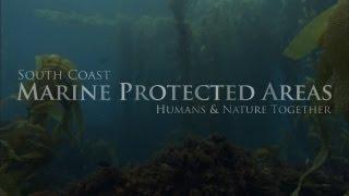 South Coast Marine Protected Areas: Humans and Nature Together