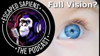 How does a bionic eye work? | Gregg Suaning | Escaped Sapiens Podcast