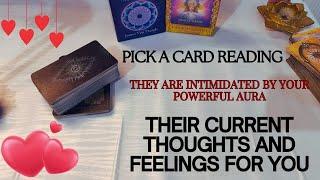 Their Current Feelings for You | Their Current Thoughts - Timeless Tarot Reading 