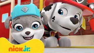 The Crew and Marshall Build a Fire Station! | Rubble & Crew | Nick Jr. UK