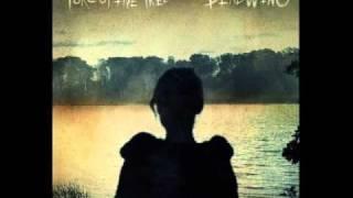 Porcupine Tree Halo