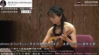 【2013TW Mandolin Festival 】Mandolinetta II Tema con variazione su Sakura :Fried Walter櫻花