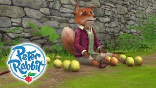 Peter Rabbit - Smart Rabbits | Cartoons for Kids